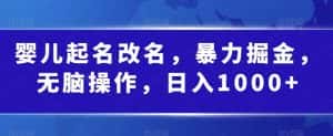 婴儿起名改名，暴力掘金，无脑操作，日入1000+【揭秘】-优优云创网
