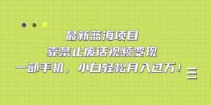 (7276期)最新蓝海项目,靠禁止废话视频变现,一部手机,小白轻松月入过万!-优优云创网