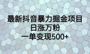最新抖音暴力掘金项目,日涨万粉,一单变现500+【揭秘】-优优云创网
