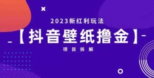 抖音壁纸小程序创作者撸金项目，2023新红利玩法【项目拆解】-优优云创网
