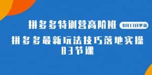 (7295期)2023拼多多·特训营高阶班【9月13日更新】拼多多最新玩法技巧落地实操-83节-优优云创网