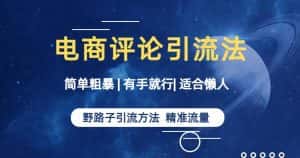简单粗暴野路子引流-电商平台评论引流大法,适合懒人有手就行【揭秘】-优优云创网