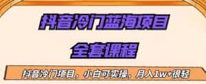 外面收费1288的抖音冷门蓝海项目,新手也可批量操作,月入1W+【揭秘】-优优云创网