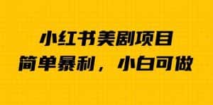 外面卖1980的小红书美剧项目,单日收益1000+,小众暴利的赛道【揭秘】-优优云创网