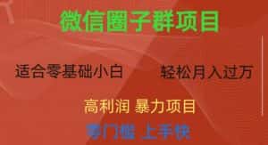 微信资源圈子群项目,零门槛,易上手,一个群1元,一天轻轻松松300+【揭秘】-优优云创网