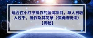 适合在小红书操作的蓝海项目,单人日收入过千,操作及其简单(保姆级玩法)【揭秘】-优优云创网