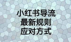 小红书导流最新规则应对方式【揭秘】-优优云创网