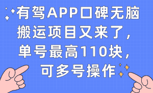 (7314期)有驾APP口碑无脑搬运项目又来了,单号最高110块,可多号操作-优优云创网