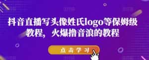抖音直播写头像姓氏logo等保姆级教程，火爆撸音浪教程【揭秘】-优优云创网