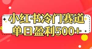 小红书冷门赛道,单日盈利500+【揭秘】-优优云创网