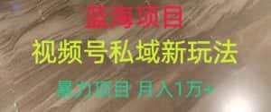 蓝海项目,视频号私域新玩法,暴力项目月入1万+【揭秘】-优优云创网