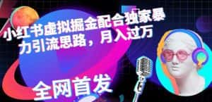 小红书虚拟掘金配合独家首发暴力引流思路,月入过万【揭秘】-优优云创网