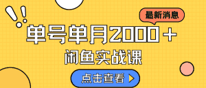 (7328期)咸鱼虚拟资料新模式,月入2w+,可批量复制,单号一天50-60没问题 多号多撸-优优云创网