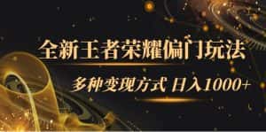 (7338期)全新王者荣耀偏门玩法,多种变现方式 日入1000+小白闭眼入(附1000G教材)-优优云创网