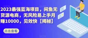 2023最强蓝海项目，闲鱼无货源电商，无风险易上手月赚10000，见效快【揭秘】-优优云创网