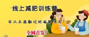 线上减肥训练营，足不出户，仅靠拉几个社群，发几条朋友圈，就可以月实现入五位【揭秘】-优优云创网