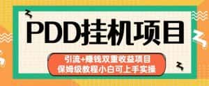 拼多多挂机项目引流+赚钱双重收益项目(保姆级教程小白可上手实操)【揭秘】-优优云创网