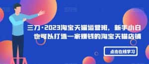 三刀·2023淘宝天猫运营班,新手小白也可以打造一家赚钱的淘宝天猫店铺-优优云创网