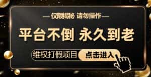 维权打假项目,电商平台不倒,项目长久到老,零投入,高回报,日入1000+(仅揭秘,勿操作)-优优云创网