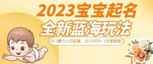 2023宝宝起名全新蓝海玩法,冷门暴力小白实操,日入1000+(全套教程)【揭秘】-优优云创网