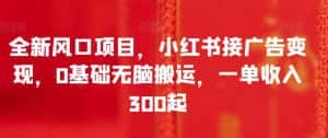 全新风口项目，小红书接广告变现，0基础无脑搬运，一单收入300起-优优云创网
