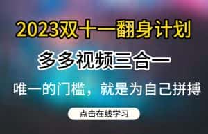 2023双十一翻身计划，多多视频带货三合一玩法教程【揭秘】-优优云创网