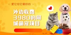 外边收费3980的同城萌宠项目,用最冷门的玩法冲击最热门的市场【揭秘】-优优云创网