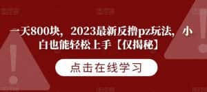一天800块,2023最新反撸pz玩法,小白也能轻松上手【仅揭秘】-优优云创网