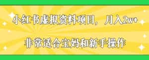 小红书虚拟资料项目，月入2w+，非常适合宝妈和新手操作【揭秘】-优优云创网