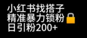 小红书找搭子暴力精准锁粉+引流日引200+精准粉-优优云创网