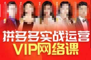 推易拼多多VIP全套直播课程，拼多多店铺实操玩法+实战玩法选款内功+直通车高阶等-优优云创网