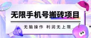 无脑搬砖项目-无限接码撸红包收益无上限【揭秘】-优优云创网