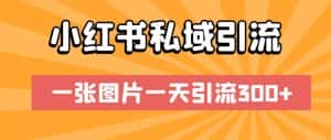 小红书私域引流，一张图片一天引流300+【揭秘】-优优云创网