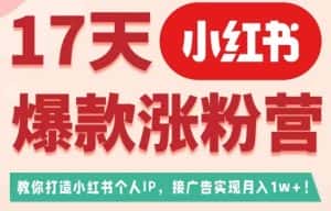 17天小红书爆款涨粉营(广告变现方向),教你打造小红书博主IP、接广告变现的-优优云创网