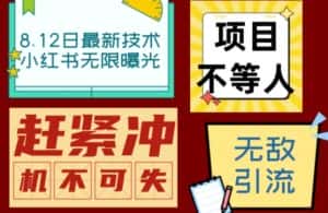 小红书8月最新技术无限曝光亲测单账号日引流精准粉100+轻松无压力（脚本＋教程）-优优云创网