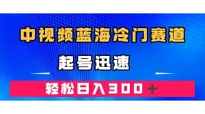 (7449期)中视频蓝海冷门赛道,韩国视频奇闻解说,起号迅速,日入300+-优优云创网