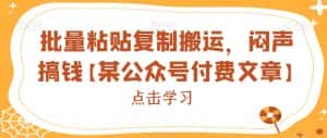 批量粘贴复制搬运,闷声搞钱【某公众号付费文章】-优优云创网