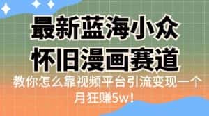 最新蓝海小众怀旧漫画赛道,高转化一单29.9教你怎么靠视频平台引流变现一个月狂赚5w!【揭秘】-优优云创网