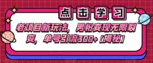 老项目新玩法,男粉变现无限裂变,单号引流300+【揭秘】-优优云创网