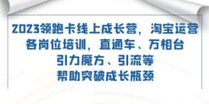 (7462期)2023领跑·卡 线上成长营 淘宝运营各岗位培训 直通车 万相台 引力魔方 引流-优优云创网