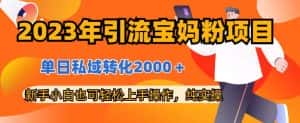 2023年引流宝妈粉项目,单日私域转化2000+,新手小白也可轻松上手操作,纯实操-优优云创网