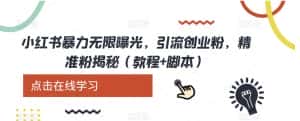 小红书暴力无限曝光,引流创业粉,精准粉揭秘(教程+脚本)-优优云创网