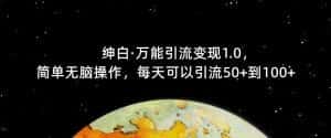 【推荐】绅白·万能引流变现1.0,简单无脑操作,每天可以引流50+到100+-优优云创网