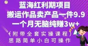 蓝海红利期项目,搬运作品卖产品一件9.9,一个月无脑纯赚3w+!(附带全套实操课程)【揭秘】-优优云创网
