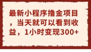 最新小程序撸金项目，当天就可以看到收益，1小时变现300+【揭秘】-优优云创网