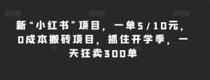 新“小红书”项目,一单5/10元,0成本搬砖项目,抓住开学季,一天狂卖300单【揭秘】-优优云创网