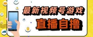 (7486期)新玩法!视频号游戏拉新自撸玩法,单机50+-优优云创网