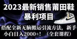 2023最新销售莆田鞋暴利项目,搭配全新无脑搬运引流方法,新手小白日入2000+【揭秘】-优优云创网