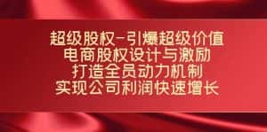 (7505期)超级股权-引爆超级价值:电商股权设计与激励:打造全员动力机制 实现…-优优云创网