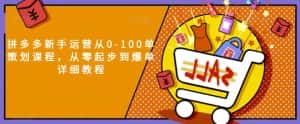 拼多多新手运营从0-100单策划课程,从零起步到爆单详细教程-优优云创网